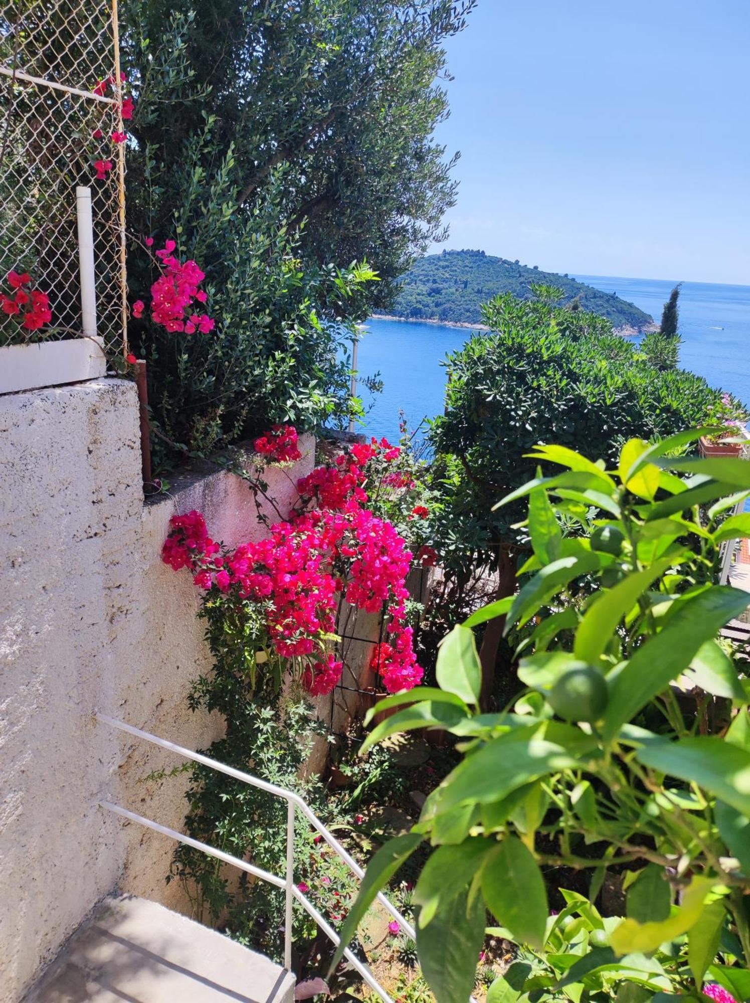 Apartment Agneza Dubrovnik Exterior photo